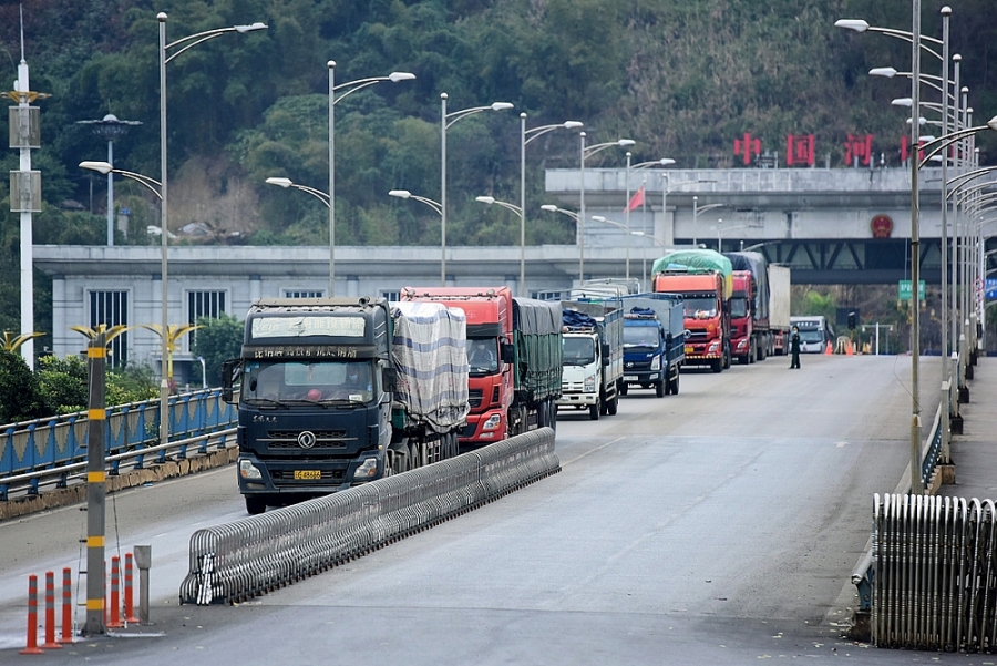 Tính đến ngày 08/02/2022, Tổng cục Hải quan Trung Quốc đã phê duyệt 1.528 mã sản phẩm nông sản thực phẩm cho các doanh nghiệp của Việt Nam. 