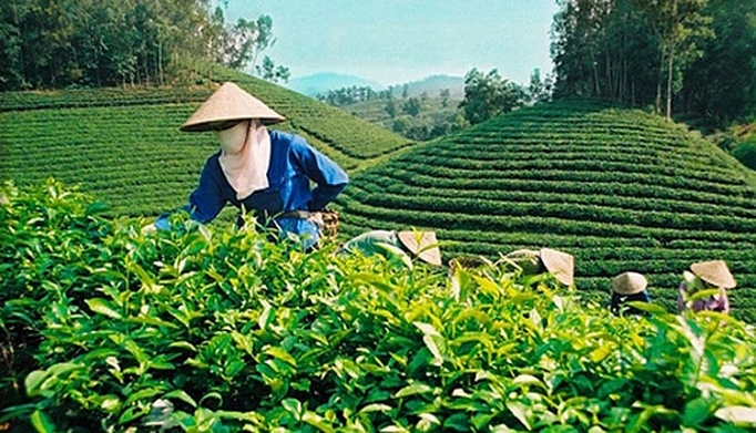 tap trung che bien nang cao gia tri nong san