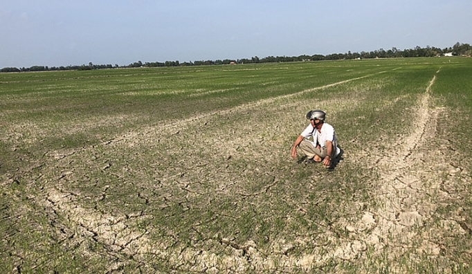 xam nhap man anh huong nghiem trong den san xuat nong nghiep va sinh hoat cua nguoi dan