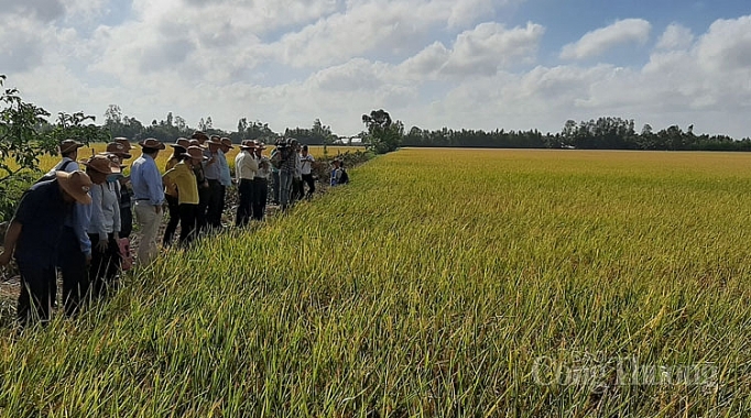 que lam va cau chuyen danh thuc tiem nang nong nghiep huu co