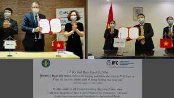 ifc ho tro mo rong thi truong xuat khau trai cay viet nam