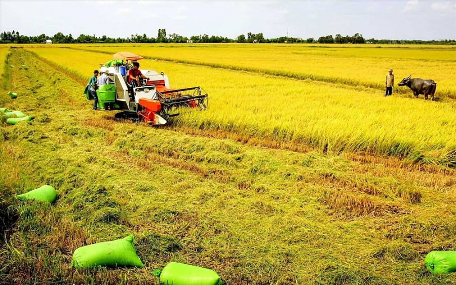 Ngành Công Thương đồng hành, hỗ trợ xuất khẩu nông lâm thủy sản