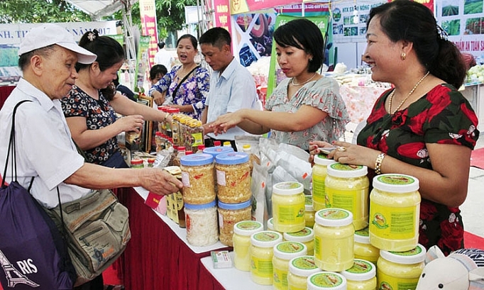 ha noi nhieu hoat dong ky niem 10 nam cuoc van dong nguoi viet nam uu tien dung hang viet nam