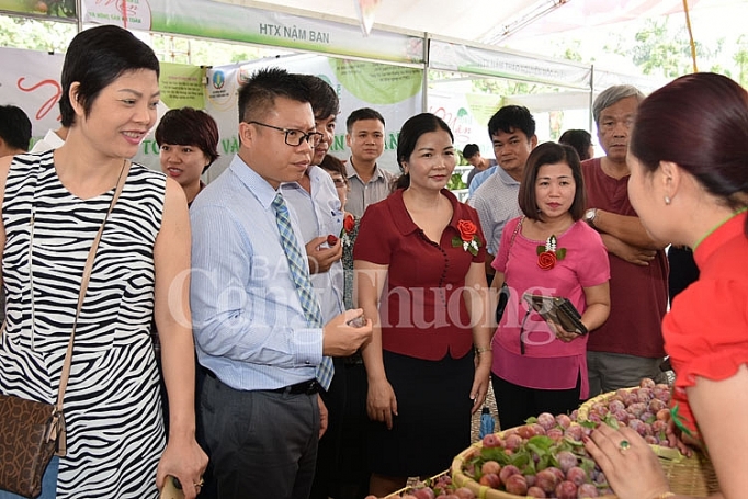 dua trai man va nong san an toan tinh son la ve ha noi