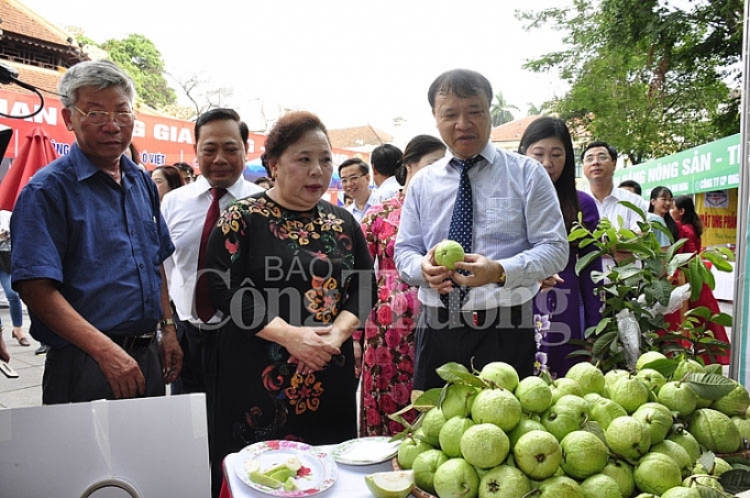 ha noi sang tao chu dong trong trien khai cuoc van dong nguoi viet nam uu tien dung hang viet nam