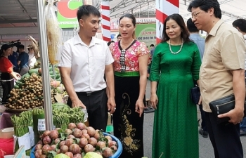 Khai mạc Tuần hàng trái cây, nông sản các tỉnh, thành phố tại Hà Nội năm 2020