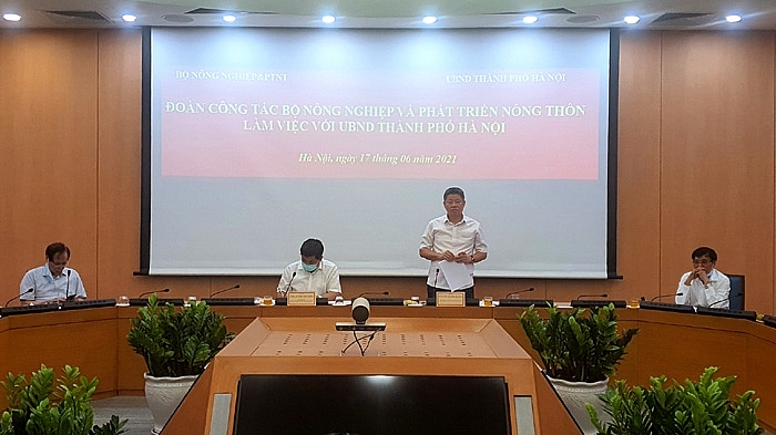 Toàn cảnh buổi làm việc