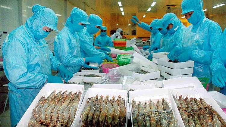 Xuất khẩu thủy sản khi nào thoát đáy?