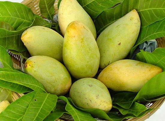 ma so vung trong tamho chieu cho nong san xuat khau