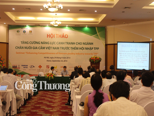 Ngành chăn nuôi trước thềm TPP: Giải bài toán không cân sức