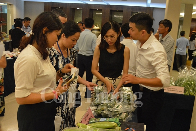 ha noi ket noi xuc tien tieu thu nong san an toan thu do nam 2019