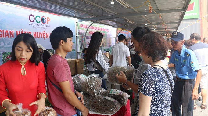 hong khong hat bac kan lan dau tien ra mat thi truong thu do
