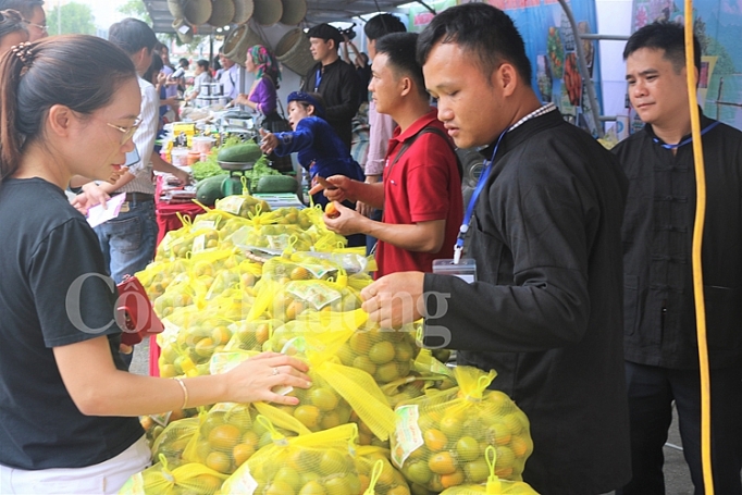 hong khong hat bac kan lan dau tien ra mat thi truong thu do