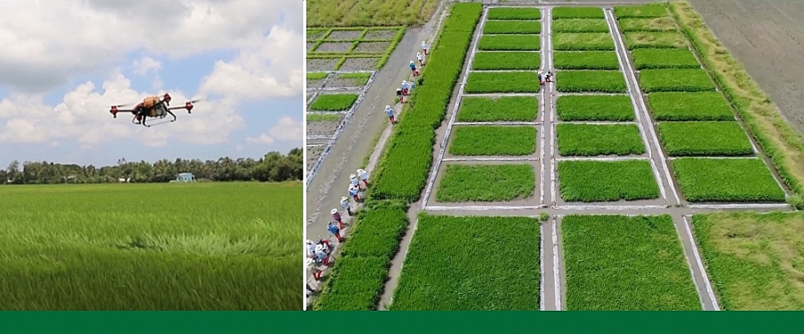 Mô hình khảo nghiệm Drone tại tỉnh Tiền Giang, vụ Đông Xuân 2020-2021 thực hiện bởi Công ty thành viên CropLife Việt Nam