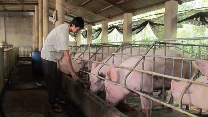 xay dung khung the che quoc gia chuoi thuc pham an toan