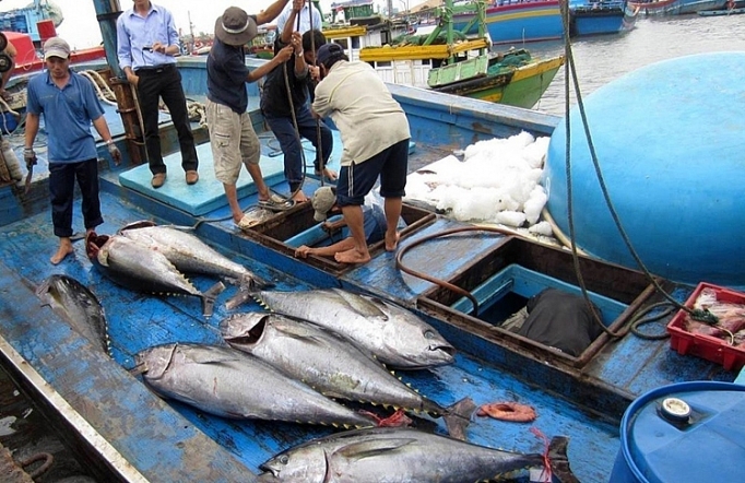 4613-khai-thac-iuu-1