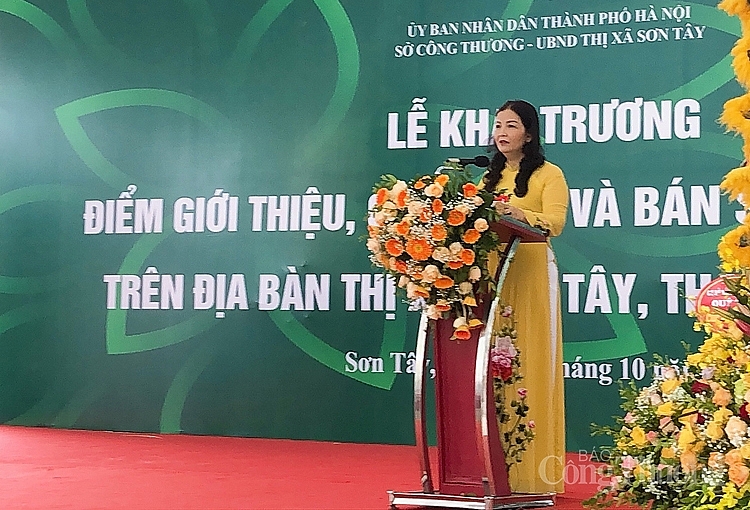 1516-ba-tran-thi-phuong-lan-pho-giam-doc-so-cong-thuong-ha-noi-phat-bieu-tai-le-khai-mac