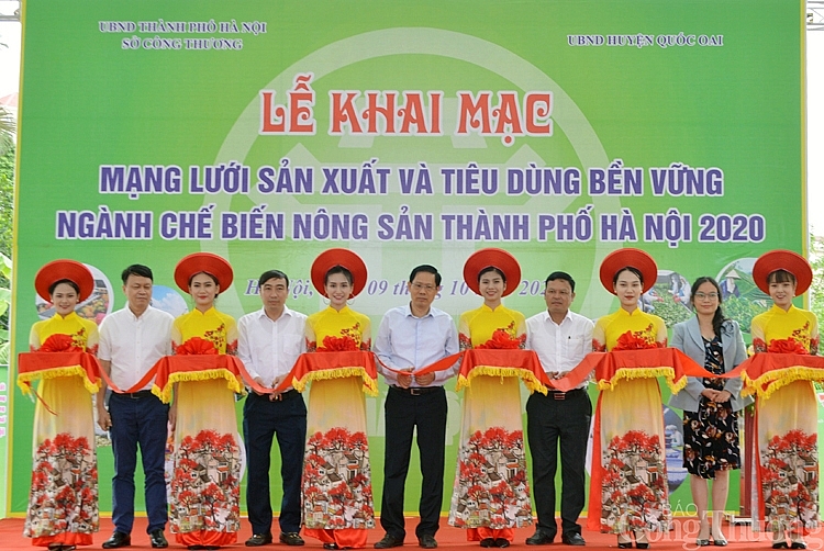 4023-cat-bang-khai-mac-chuong-trinh-ket-noi