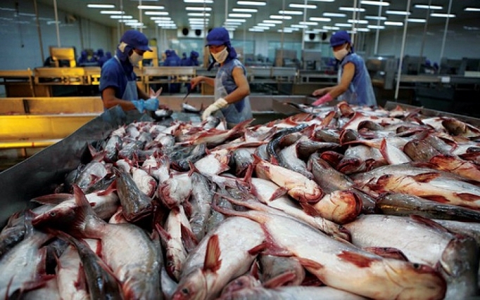 nhu cau xuat khau day gia tom va ca tra trong nuoc tang cao vao cuoi nam