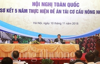 huong den nen nong nghiep thong minh hien dai va thich ung voi bien doi khi hau