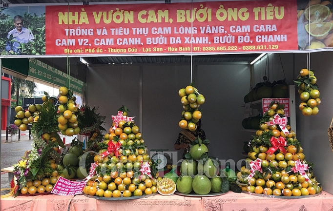 nong san an toan tinh hoa binh chinh phuc nguoi tieu dung ha noi