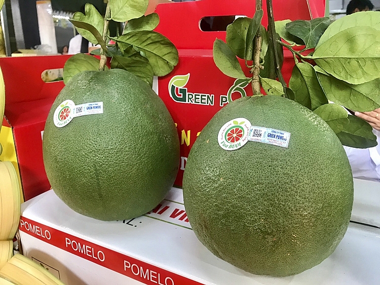 Cơ hội xuất khẩu quả bưởi khi Australia hoàn tất đánh giá