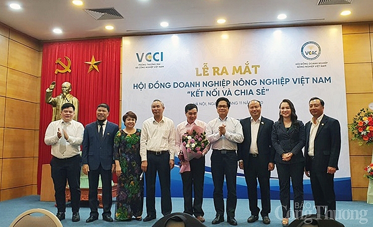 5007-hoi-dong-dn-nn-vn