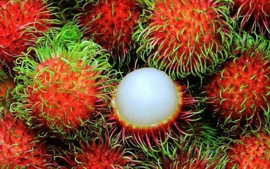new zealand du kien noi long bien phap giam sat kiem dich thuc vat doi voi mot so trai cay viet