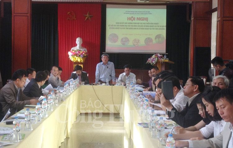 Hà Nội hợp tác với Quảng Ninh, Lâm Đồng tiêu thụ nông sản an toàn