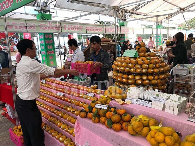 khai mac hoi cho nong dac san vung mien tuan le quang ba cam sanh ha giang quyt bac kan