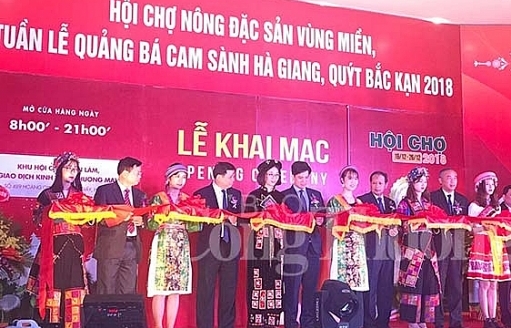 Khai mạc Hội chợ nông đặc sản vùng miền, Tuần lễ quảng bá cam sành Hà Giang, quýt Bắc Kạn