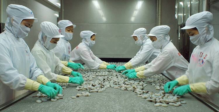 Phát huy vai trò của phụ nữ trong nền kinh tế