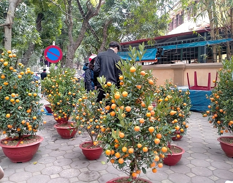 Đi chợ truyền thống ngày giáp Tết: Vượt ra khỏi ranh giới bán - mua