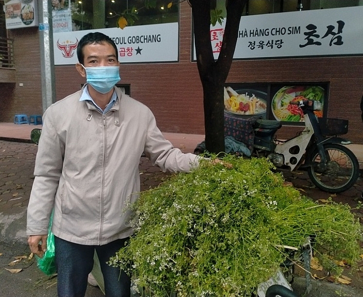 Tắm nước lá mùi già vào chiều 30 Tết: Nét văn hóa của người dân Thủ đô