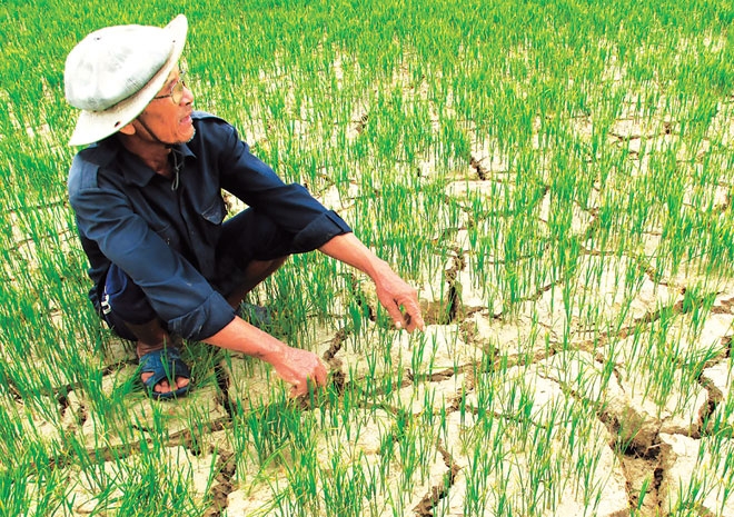 Gia tăng nguồn tài chính dành cho ứng phó biến đổi khí hậu