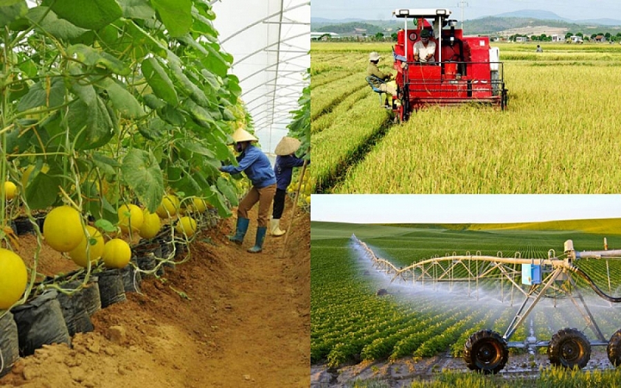 Đóng góp của kinh tế tập thể vào GDP đang ngày càng suy giảm