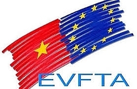 lao dong viec lam duoc huong loi gi tu evfta