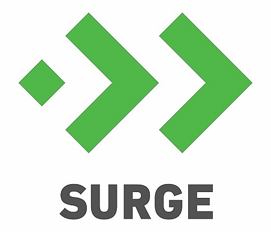 Chương trình Surge của Sequoia Capital Ấn Độ lựa chọn 17 startup có tiềm năng lớn mạnh thời hậu Covid