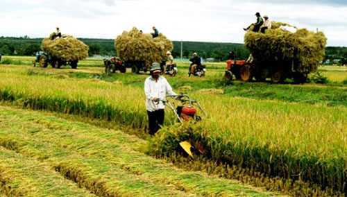 Nông nghiệp Việt chủ động trong sân chơi hội nhập