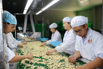 hiep hoi dieu viet nam ho tro campuchia tang san luong len 1 trieu tan