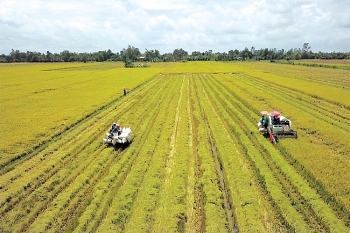 Dự án Better Life Farming: Tiềm năng canh tác lớn cho các nông hộ nhỏ