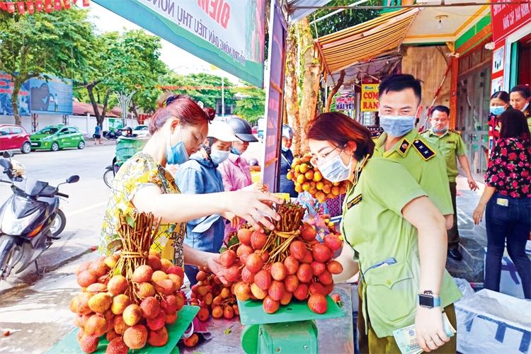 Bài học thị trường và dự cảm trước thềm Xuân mới