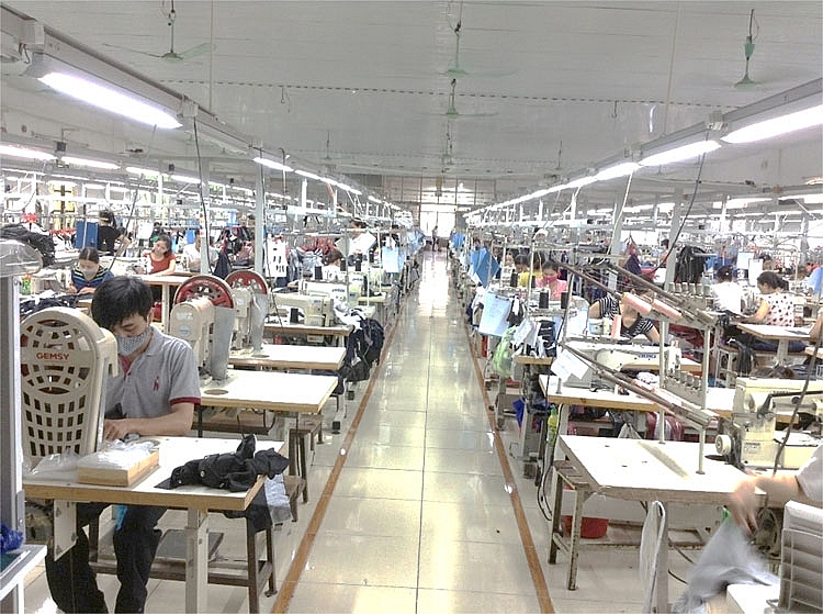 Công ty Cổ Phần May Xuất khẩu Ninh Bình: Vững vàng chinh phục thị trường