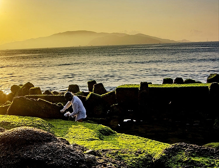 Bãi rêu xanh- Hứa hẹn điểm check-in độc đáo trên vịnh Nha Trang