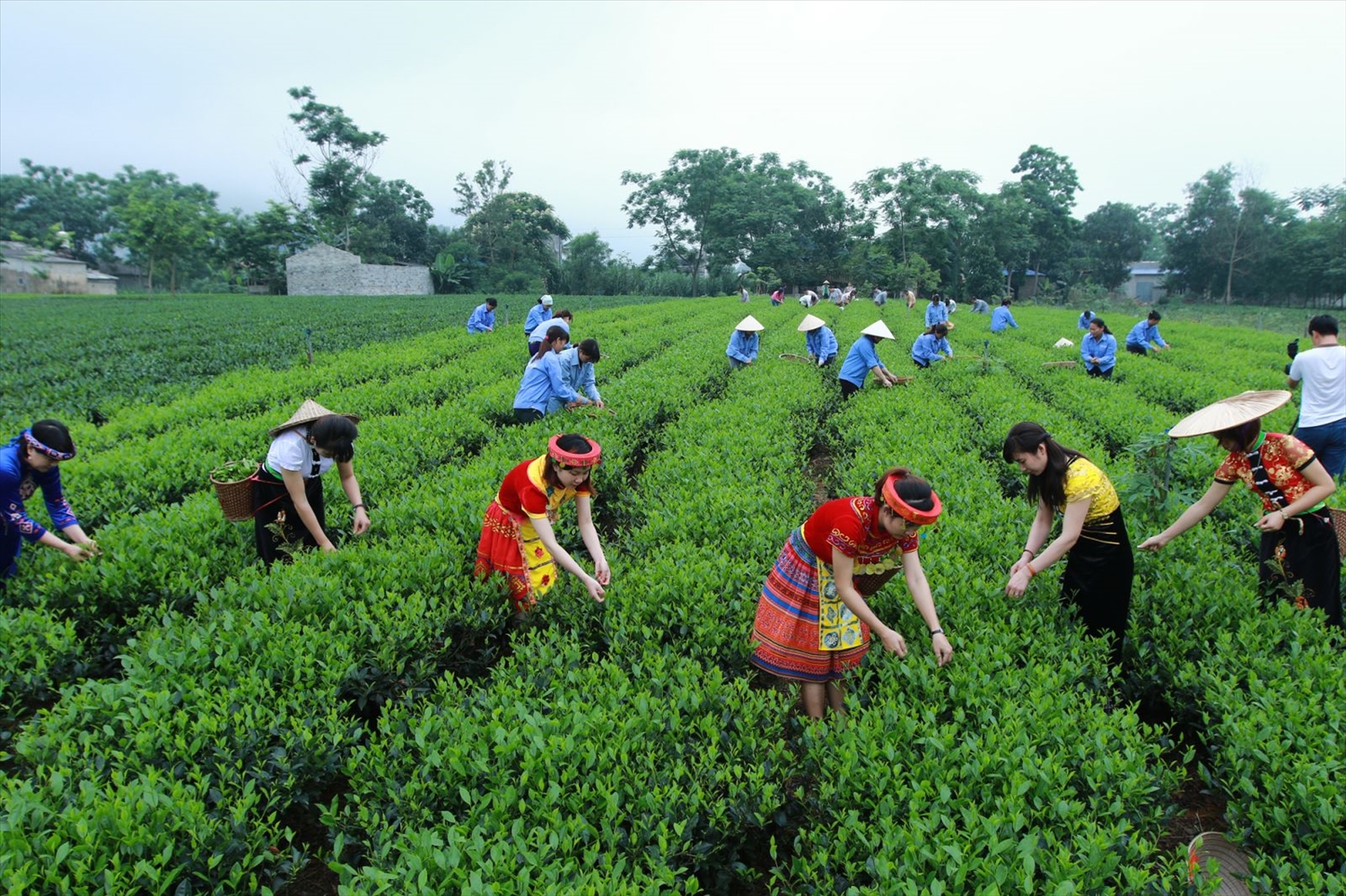 Nhìn lại bức tranh kinh tế vùng Trung du và miền núi phía Bắc: Nhiều tiềm  năng nhưng vẫn là “lõi nghèo” (Bài 1) | Báo Dân tộc và Phát triển