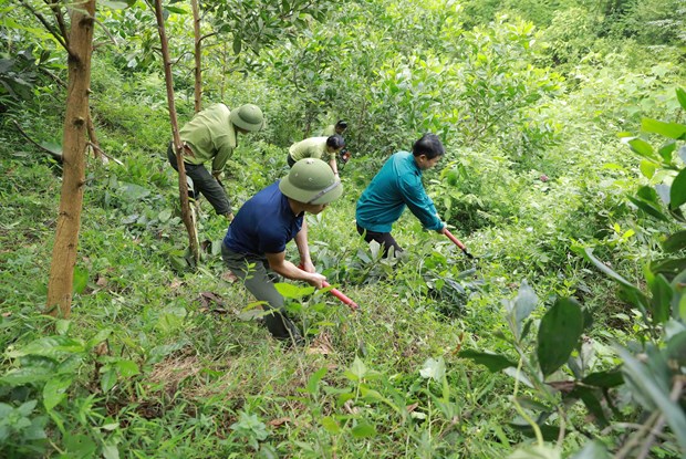 Viet Nam thuc day tiet kiem nang luong nham muc tieu kep hinh anh 1