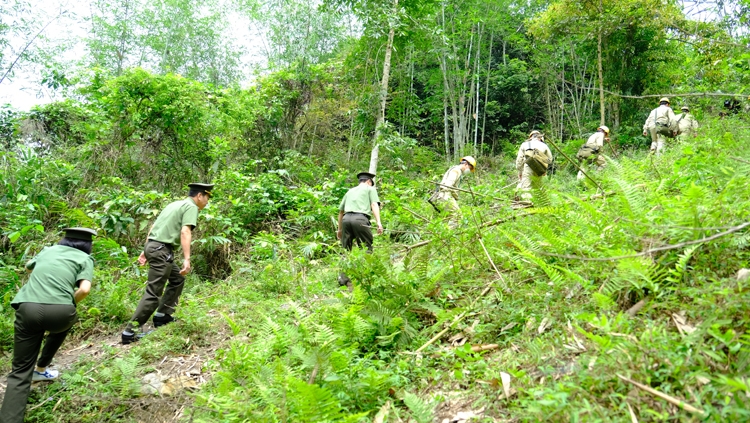 Cho những dòng điện được nối dài