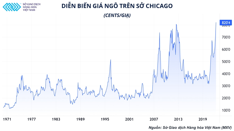 Ngành chăn nuôi trong nước và sự phụ thuộc vào thời tiết bên kia đại dương