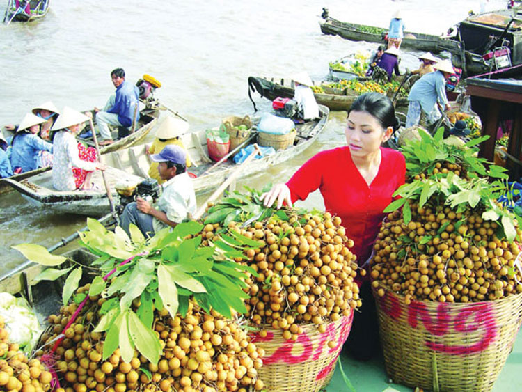 Lối nào cho nông sản Việt trước TPP