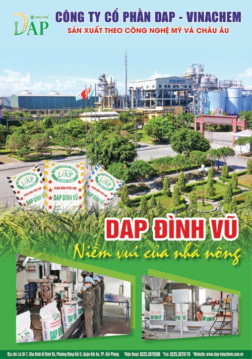 Phân bón DAP Hải Phòng: Tốt cho đất, tốt cho cây trồng